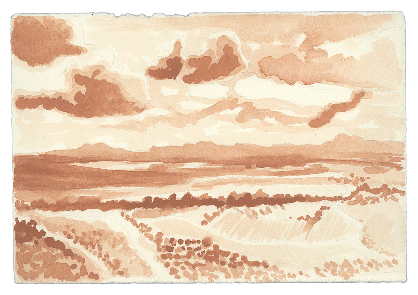 Navarra's Landscape | Original Artwork