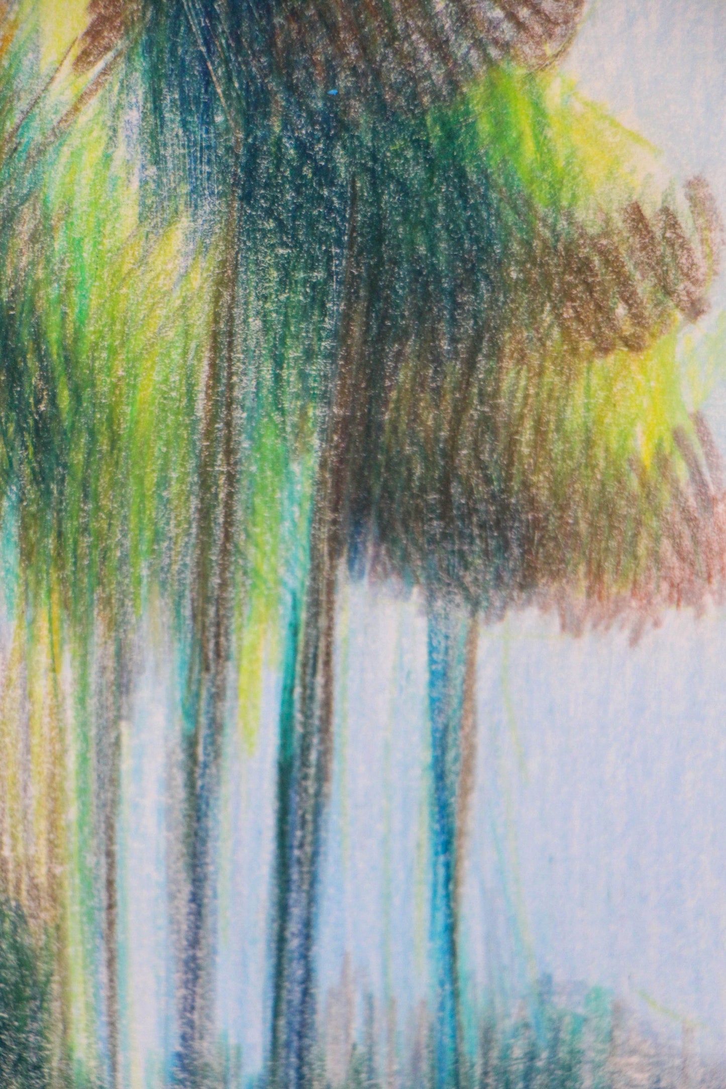 Trees in La Barra | Original Artwork