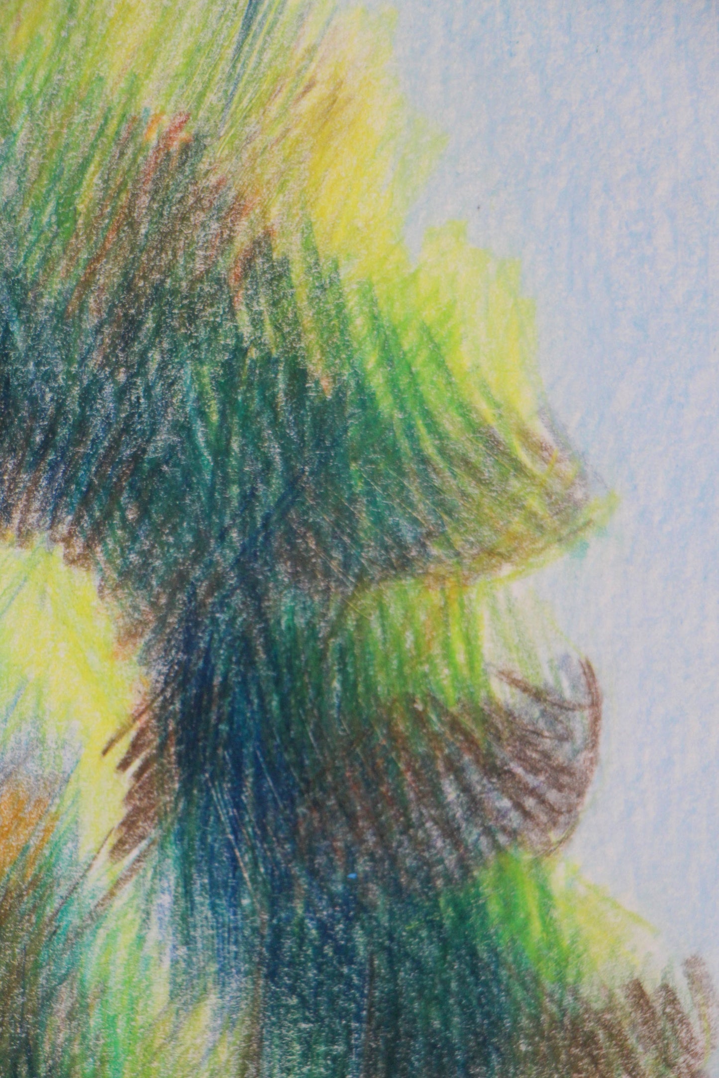 Trees in La Barra | Original Artwork