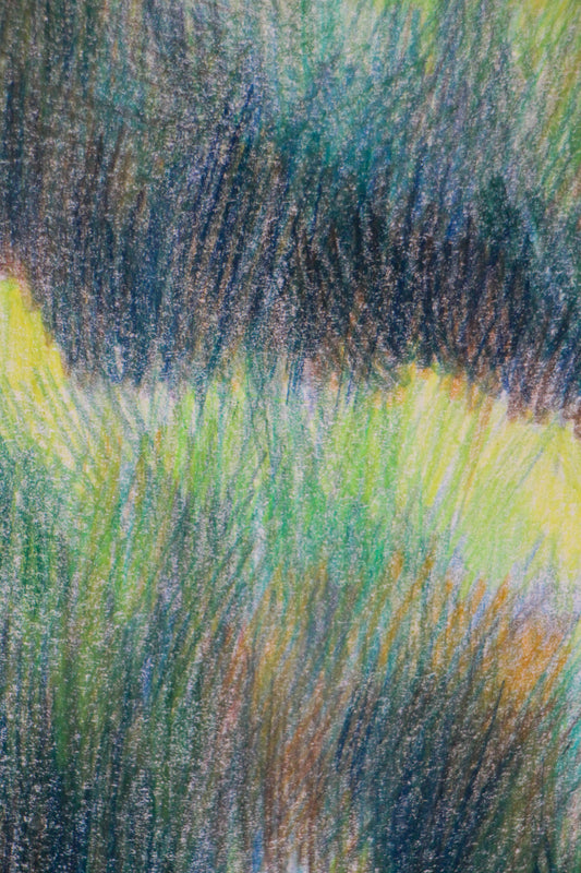 Trees in La Barra | Original Artwork