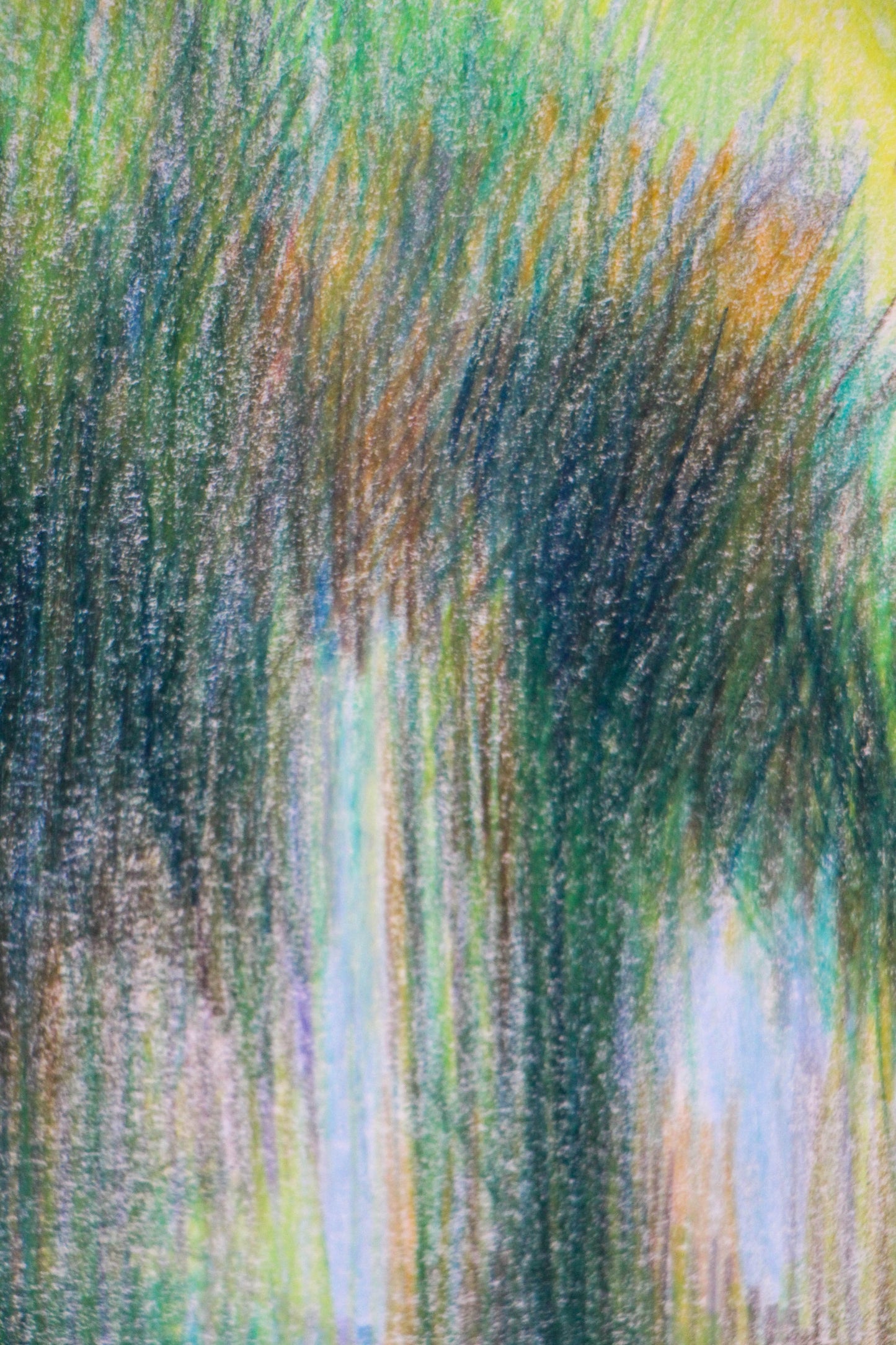 Trees in La Barra | Original Artwork