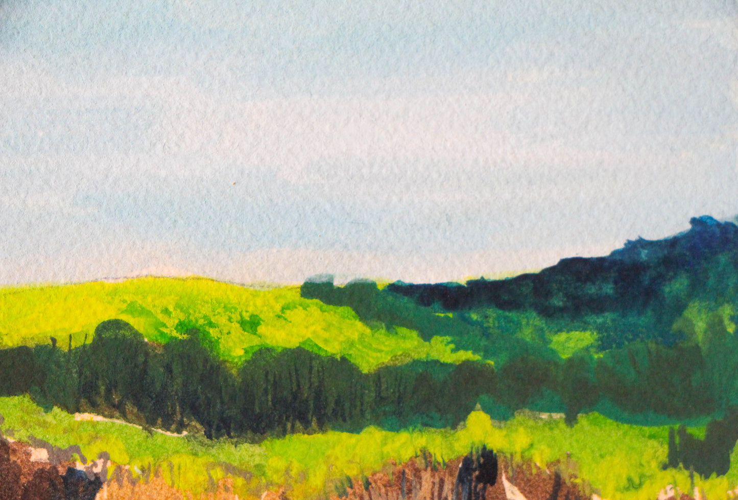 Salto del caballo - Asturias | Original Artwork