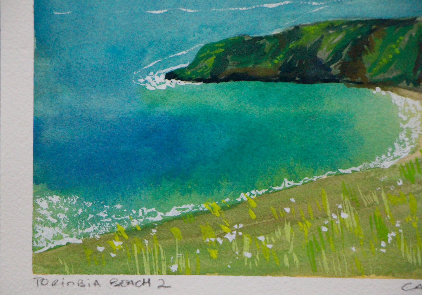 Torimbia Beach 2 | Original Artwork