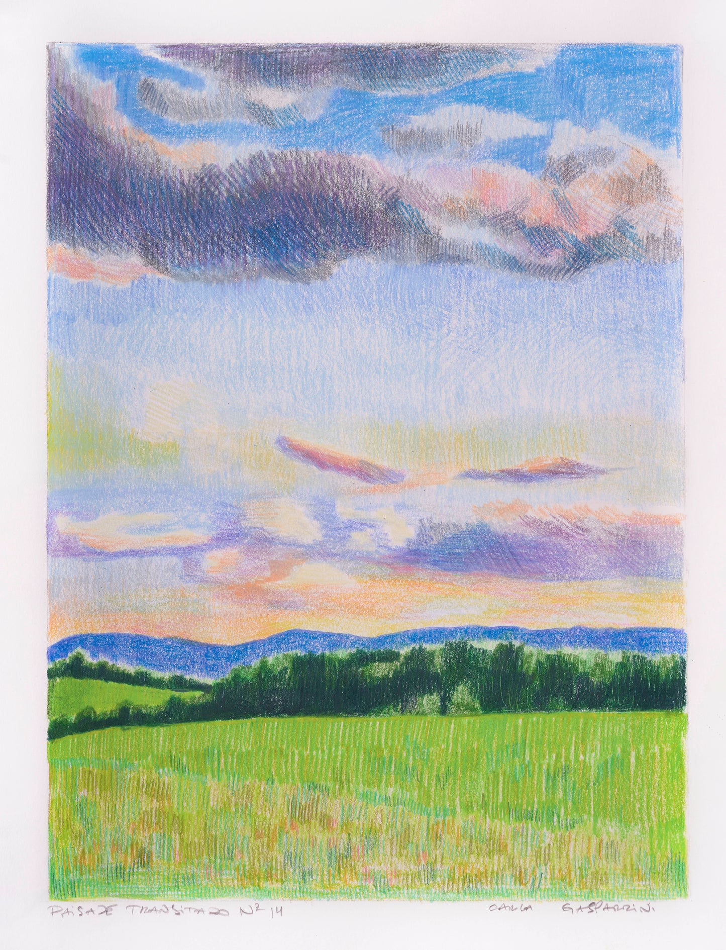 Travelled Landscape Nº14 | Original Artwork