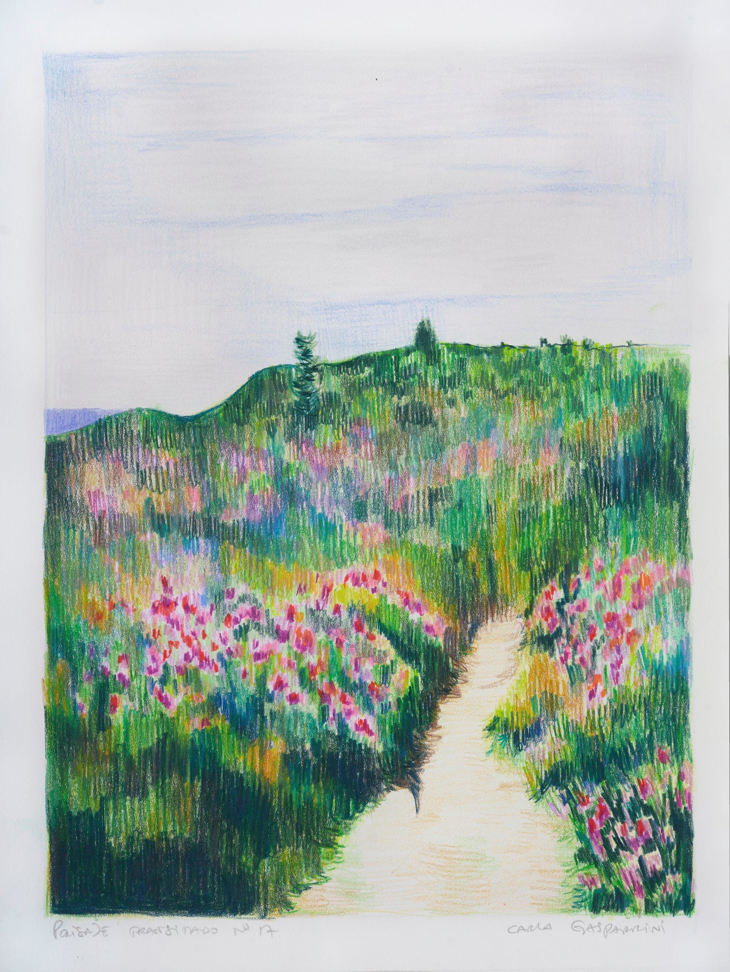 Travelled Landscape Nº17 | Original Artwork