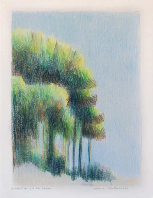 Trees in La Barra | Original Artwork