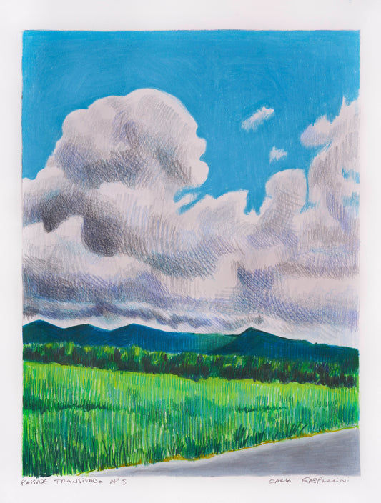 Travelled Landscape Nº5 | Original Artwork