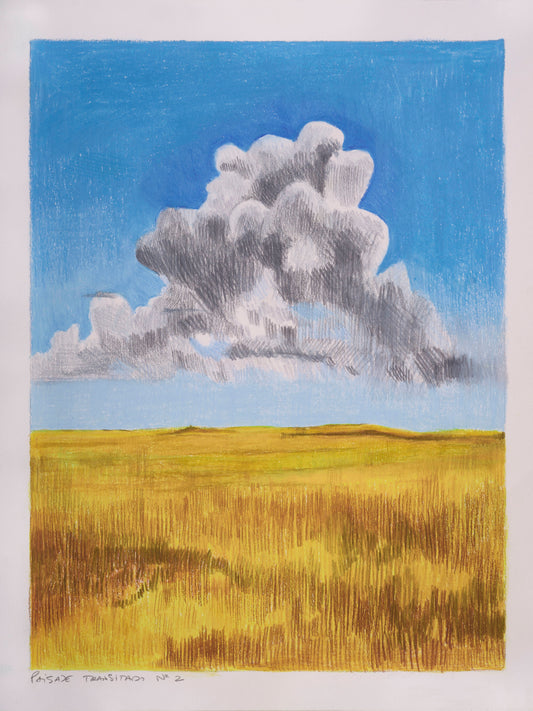 Travelled Landscape Nº2 | Original Artwork