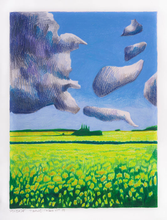 Travelled Landscape Nº11 | Original Artwork